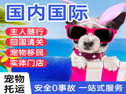 三家子航空货运国际宠物托运 【国